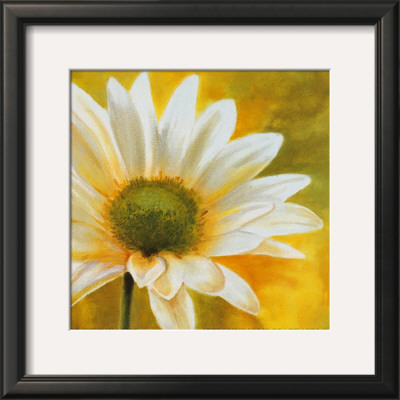 Marguerites Dans Le Soleil Iii by Pierre Viollet Pricing Limited Edition Print image