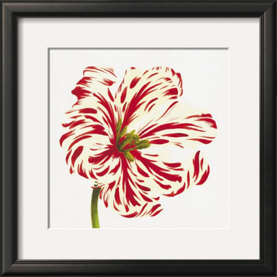 Red And White Flower by Miriam Bedia Pricing Limited Edition Print image