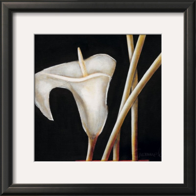 Lily In Sepia I by Beate Emanuel Pricing Limited Edition Print image