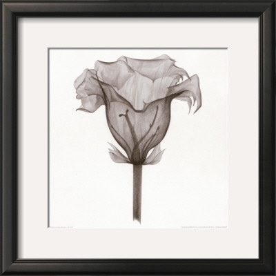 Silhouette I by Allen Van Pricing Limited Edition Print image