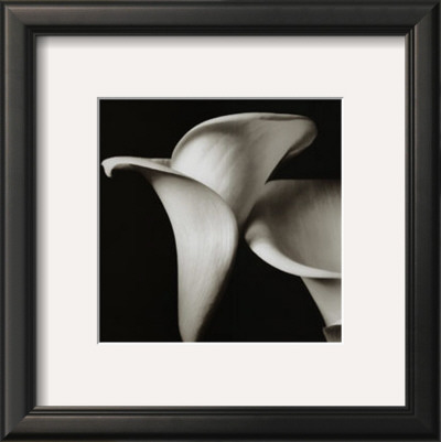 Lilies by Bill Philip Pricing Limited Edition Print image