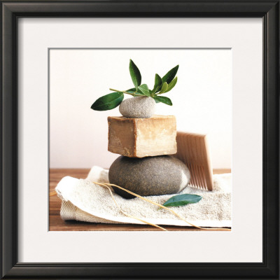 Pile With Olive Tree Branch by Amelie Vuillon Pricing Limited Edition Print image