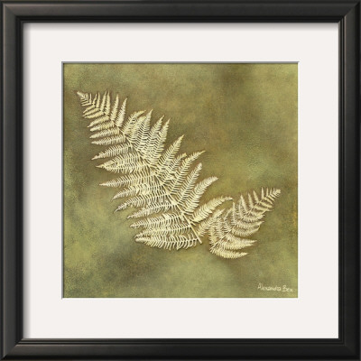 Organic Fern by Alexandra Bex Pricing Limited Edition Print image