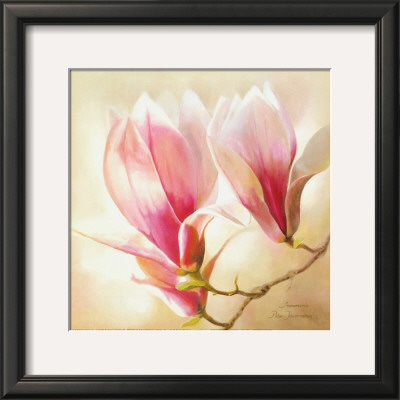 Magnolia Liliflora by Annemarie Peter-Jaumann Pricing Limited Edition Print image