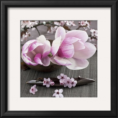 Magnolia by Catherine Beyler Pricing Limited Edition Print image