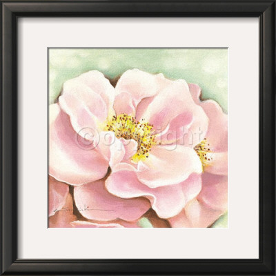 Wild Pink Roses by Arkadiusz Warminski Pricing Limited Edition Print image