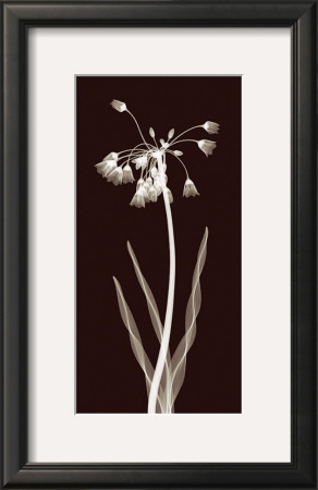 Nectar Twist by Jim Wehtje Pricing Limited Edition Print image