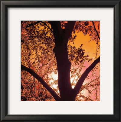 Sunset Forest I by M.J. Lew Pricing Limited Edition Print image