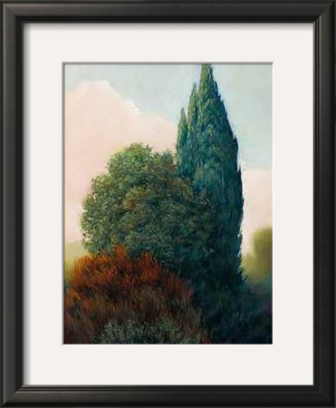 Tuscan Trees Ii by Alan Stephenson Pricing Limited Edition Print image