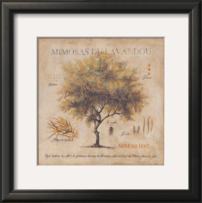 Mimosas Du Lavandou by Pascal Cessou Pricing Limited Edition Print image