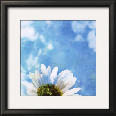 Daisies Iii by Ingrid Blixt Pricing Limited Edition Print image