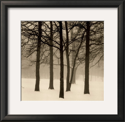 Palos Park by Paul Kozal Pricing Limited Edition Print image