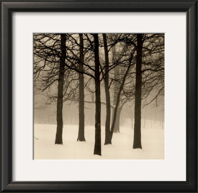 Palos Park by Paul Kozal Pricing Limited Edition Print image