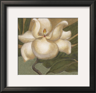 Spring Magnolia I by Cooper Pricing Limited Edition Print image