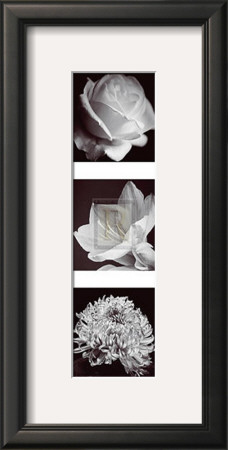 Flower Panel I by Bill Philip Pricing Limited Edition Print image