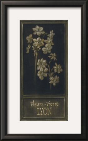 Fleurs-Pierre, Lyon by Stela Klein Pricing Limited Edition Print image