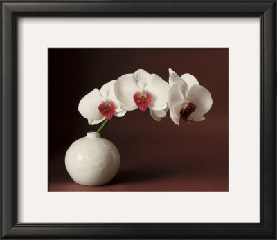 Orchid And White Vase by Florence Rouquette Pricing Limited Edition Print image