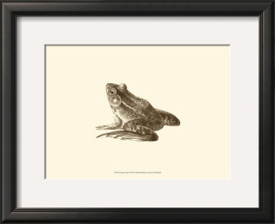 Sepia Frog I by J. H. Richard Pricing Limited Edition Print image