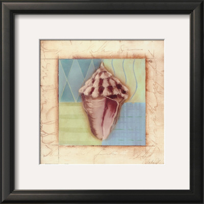 Shell Accents I by Celeste Peters Pricing Limited Edition Print image