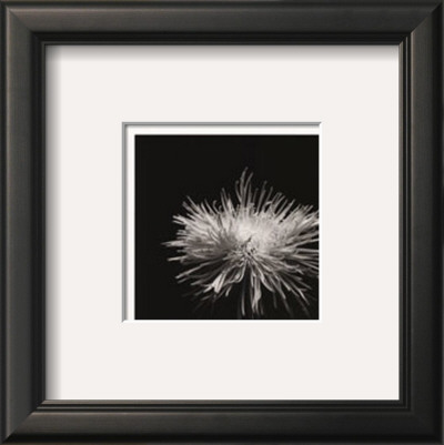 Flower Series I by Walter Gritsik Pricing Limited Edition Print image