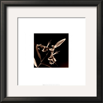 Flower Series V by Walter Gritsik Pricing Limited Edition Print image