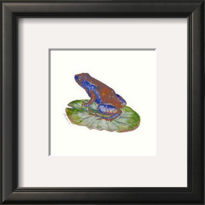 Frog Display 6 by Consuelo Gamboa Pricing Limited Edition Print image