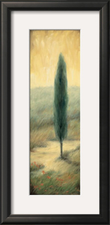 Tuscan Twilight Ii by Laurie Tavino Pricing Limited Edition Print image