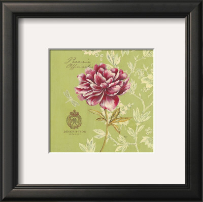 Toile Peony by Stefania Ferri Pricing Limited Edition Print image