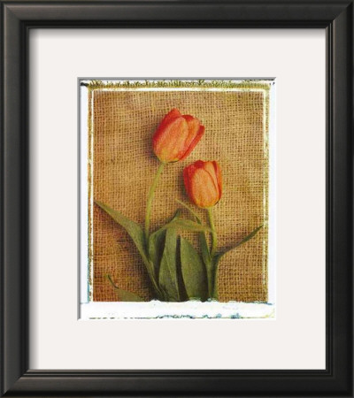 Tulips by Vincenzo Ferrato Pricing Limited Edition Print image