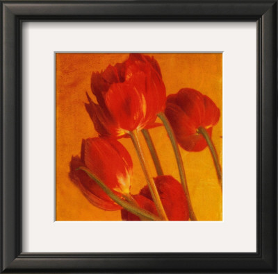 Red And Gold Ii by Amy Melious Pricing Limited Edition Print image
