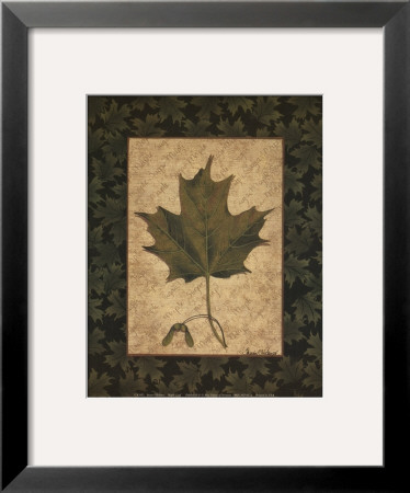 Sugar Maple Leaf by Susan Clickner Pricing Limited Edition Print image
