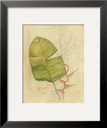 Botanical Journal I by Avery Tillmon Pricing Limited Edition Print image