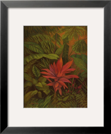 Tropical Foliage Ii by Linda Amundsen Pricing Limited Edition Print image