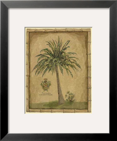 Caribbean Palm Iii by Betty Whiteaker Pricing Limited Edition Print image