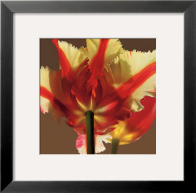 Soiree Ii by S. G. Rose Pricing Limited Edition Print image