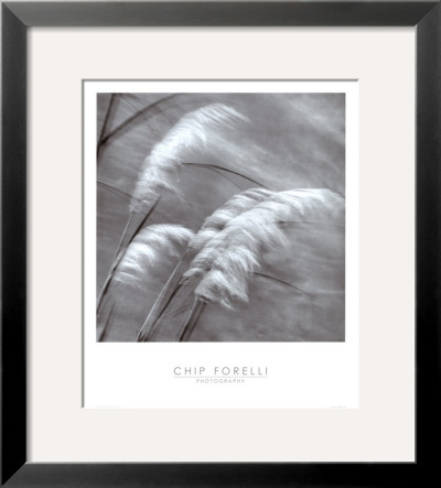 Grasses In The Sky by Chip Forelli Pricing Limited Edition Print image