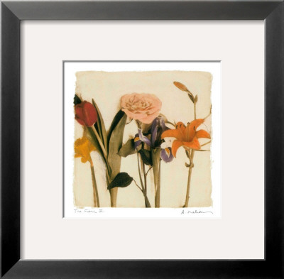 Tre Fiori Iv by Amy Melious Pricing Limited Edition Print image