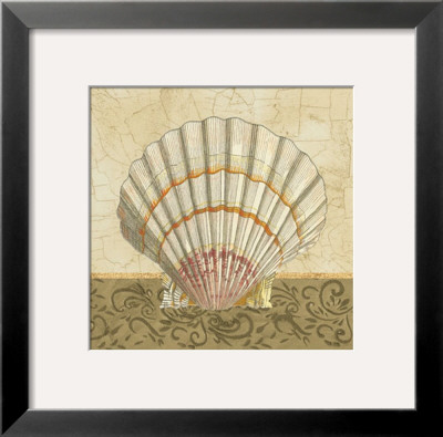 Shell Study Ii by Tiffany Bradshaw Pricing Limited Edition Print image