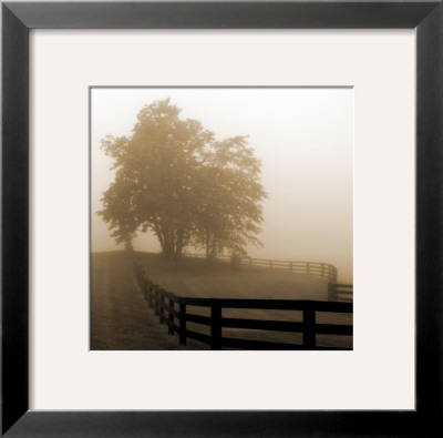 All Fenced In by Andrea White Pricing Limited Edition Print image