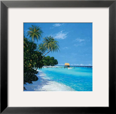 Tropical Paradise Ii by Steve Thoms Pricing Limited Edition Print image