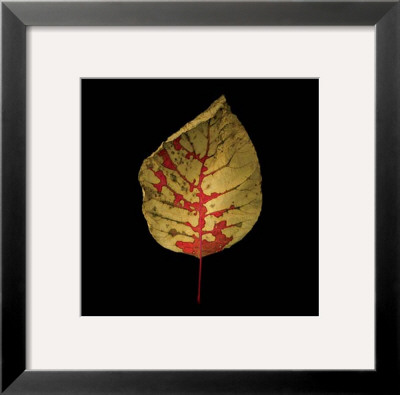 Smokebush by June Hunter Pricing Limited Edition Print image