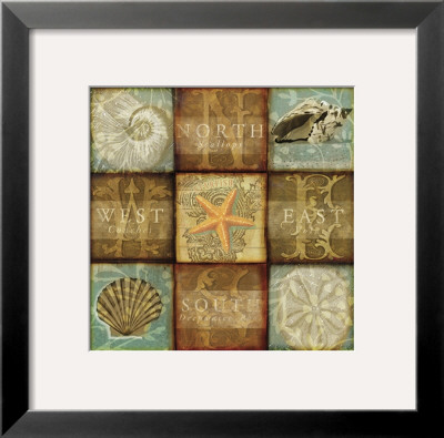 Coastal Treasures I by Wes Knight Pricing Limited Edition Print image