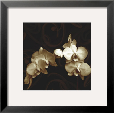 Elegance by Ily Szilagyi Pricing Limited Edition Print image