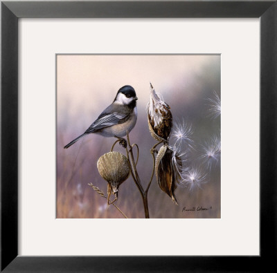 Chickadee And Milkweed by Russ Cobane Pricing Limited Edition Print image