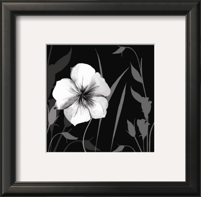 Ebony And Ivory I by Kate Knight Pricing Limited Edition Print image