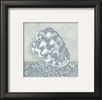Coastal Cottage Shell Iii by Krissi Pricing Limited Edition Print image
