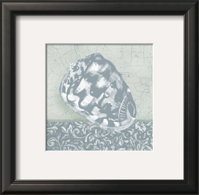Coastal Cottage Shell Iii by Krissi Pricing Limited Edition Print image