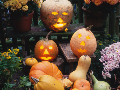 Different Kinds Of Pumpkin And Pumpkin Faces At Halloween (Cucurbita Sp.) by Reinhard Pricing Limited Edition Print image