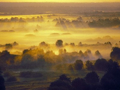 Sun Rise Over The Bryansk Forest, Bryansky Les Zapovednik, Russia by Igor Shpilenok Pricing Limited Edition Print image