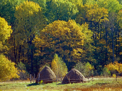 Hay Making In Bryansky Les Zapovednik In Autumn, Russia by Igor Shpilenok Pricing Limited Edition Print image